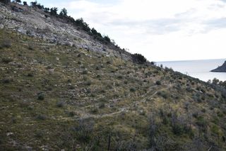 Αγροτεμάχια 8.000 τ.μ. προς πώληση, Θυμωνιά-thumb-8