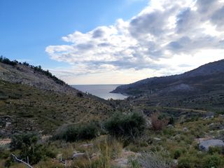 Αγροτεμάχια 8.000 τ.μ. προς πώληση, Θυμωνιά-thumb-2