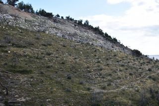 Αγροτεμάχια 8.000 τ.μ. προς πώληση, Θυμωνιά-thumb-9