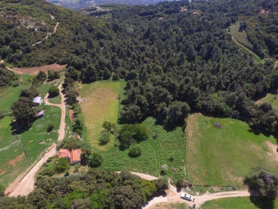 Αγροτεμάχια 28.774 τ.μ. προς πώληση, Χώρα Σκιάθου