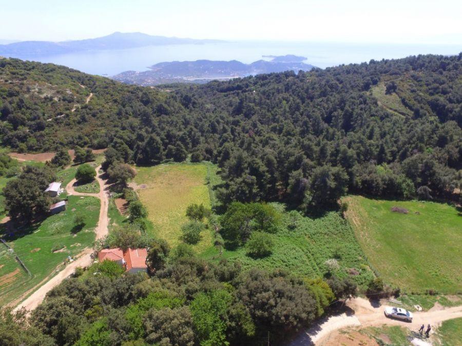 Αγροτεμάχια 28.774 τ.μ. προς πώληση, Χώρα Σκιάθου