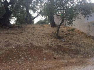 Οικόπεδο 1.906 τ.μ. προς πώληση, Άφυσσος-thumb-18