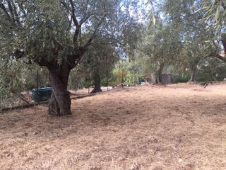Οικόπεδο 1.906 τ.μ. προς πώληση, Άφυσσος-thumb-12
