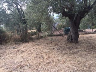 Οικόπεδο 1.906 τ.μ. προς πώληση, Άφυσσος-thumb-13