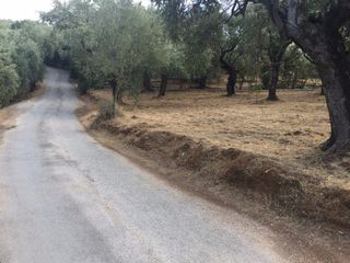 Οικόπεδο 1.906 τ.μ. προς πώληση, Άφυσσος-thumb-14