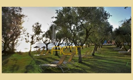 Αγροτεμάχια 50.800τ.μ. για πώληση-Στυλίδα » Πεταράδες