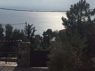 Αγροτεμάχια 3.386 τ.μ. για πώληση
