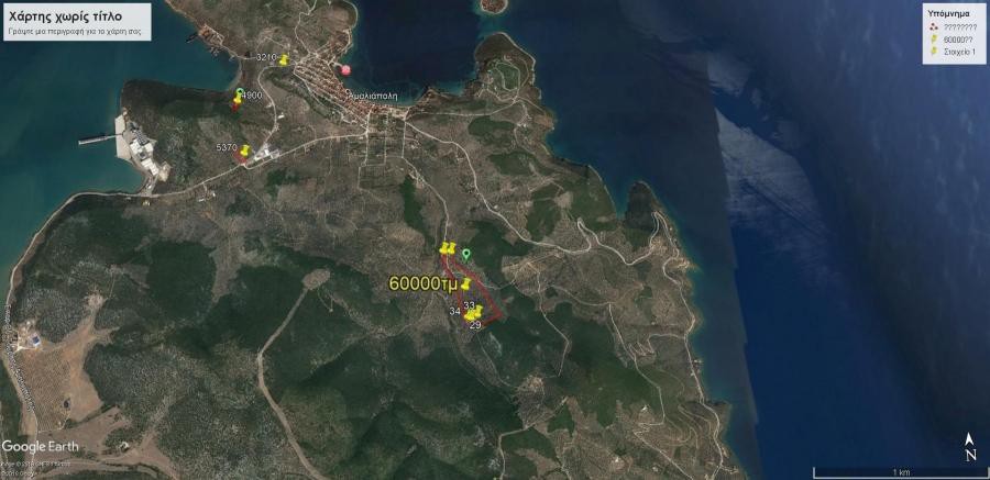 Αγροτεμάχια 60.000 τ.μ. πρός πώληση, Μαγνησία, Σούρπη