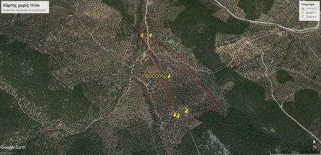 Parcel 60.000sqm for sale-Sourpi » Amaliapoli