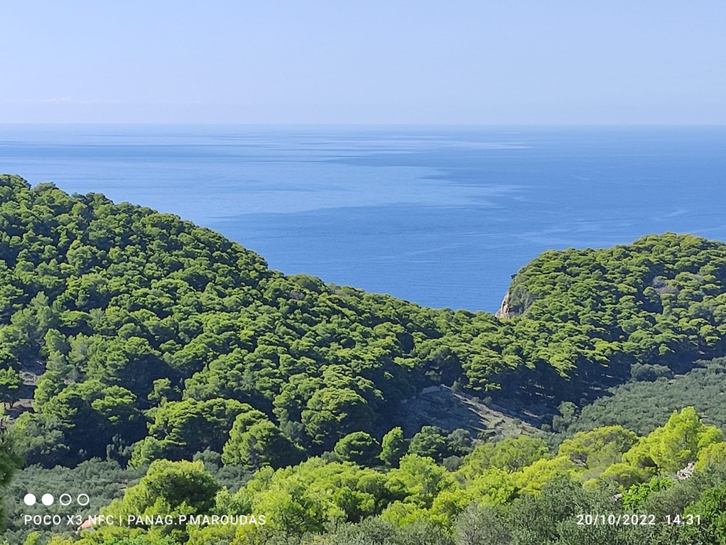 Οικόπεδο 4.000 τ.μ. πρός πώληση, Ζάκυνθος, Λαγανάς