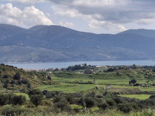 Αγροτεμάχια 80.000 τ.μ. για πώληση