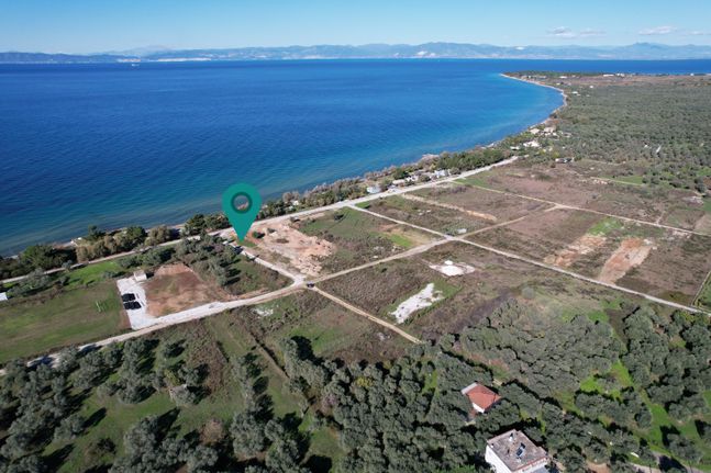 Αγροτεμάχια 824 τ.μ. για πώληση, Ν. Καβάλας, Θάσος