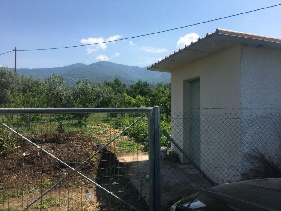 Αγροτεμάχια 2.300 τ.μ. πρός πώληση, Μαγνησία, Αρτέμιδα