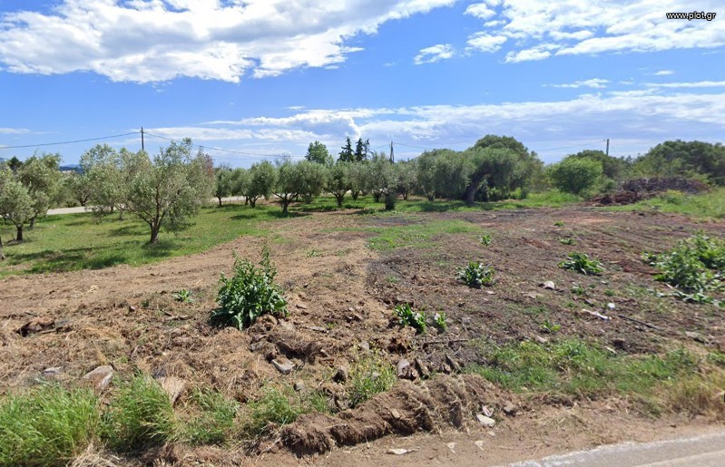 Οικόπεδο 1.000 τ.μ. πρός πώληση, Χαλκιδική, Σιθωνία