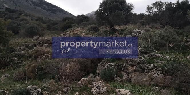 Αγροτεμάχια 14.380 τ.μ. προς πώληση, Κουρνά