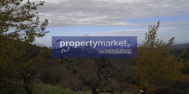 Αγροτεμάχια 14.380 τ.μ. προς πώληση, Κουρνά