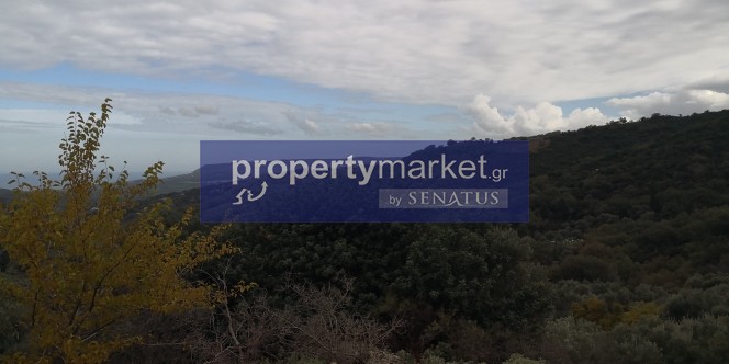 Αγροτεμάχια 14.380 τ.μ. προς πώληση, Κουρνά