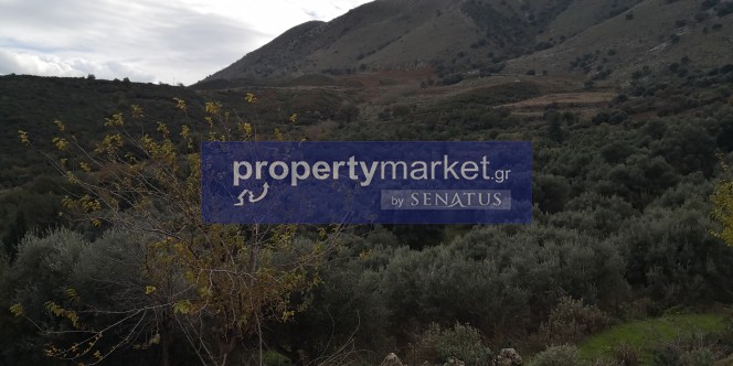 Αγροτεμάχια 14.380 τ.μ. προς πώληση, Κουρνά