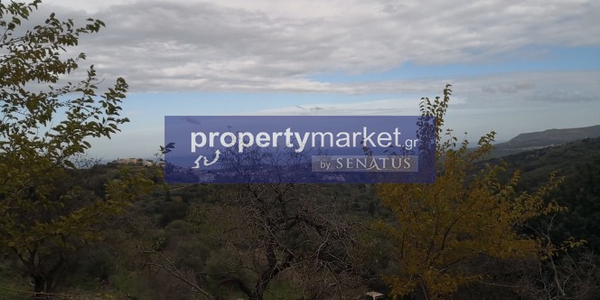 Αγροτεμάχια 14.380 τ.μ. προς πώληση, Κουρνά