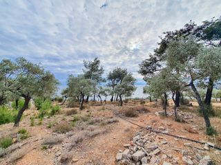 Αγροτεμάχια 4.710 τ.μ. για πώληση, Ν. Καβάλας, Θάσος-thumb-2