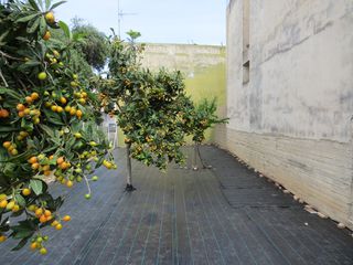 Οικόπεδο 114 τ.μ. για πώληση, Αχαΐα, Πάτρα-thumb-1