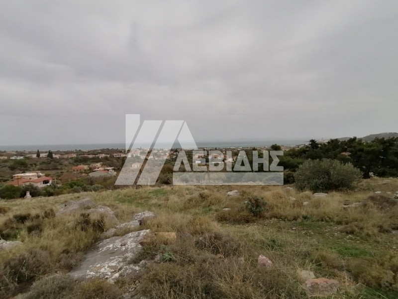 Αγροτεμάχια 9.054 τ.μ. προς πώληση, Πόλη Χίου