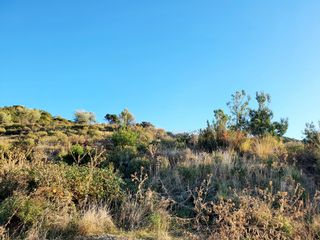 Αγροτεμάχια 987 τ.μ. για πώληση, Ν. Καβάλας, Θάσος-thumb-2