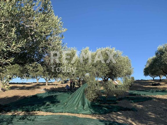 Parcel 11.250 sqm for sale, Thessaloniki - Suburbs, Epanomi