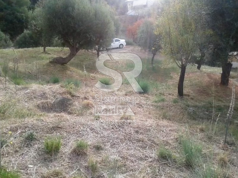 Οικόπεδο 2.350 τ.μ. πρός πώληση, Αιτωλοακαρνανία, Ναύπακτος