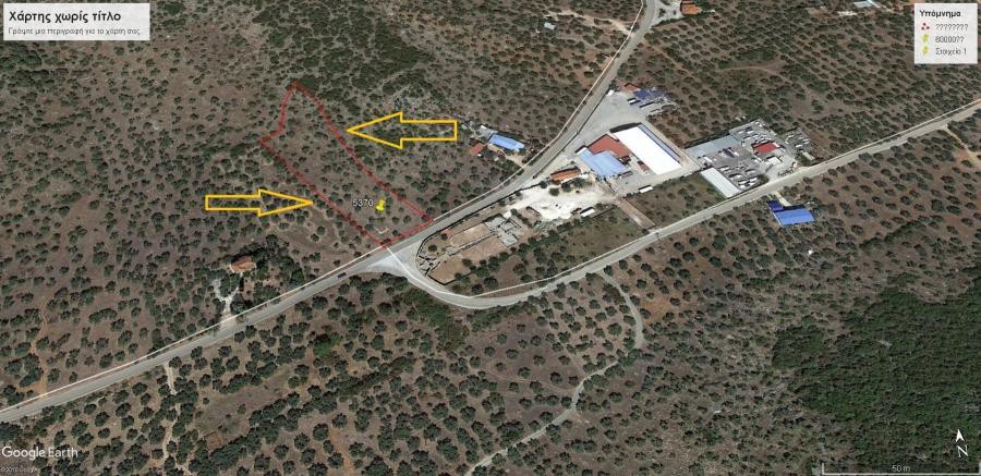 Αγροτεμάχια 5.370 τ.μ. πρός πώληση, Μαγνησία, Σούρπη