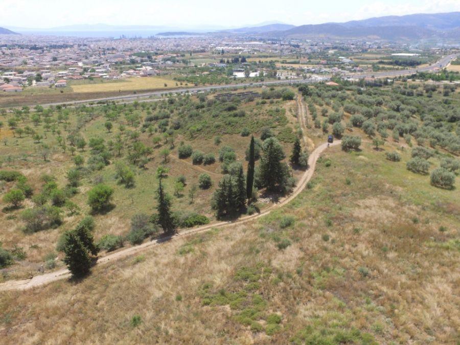 Αγροτεμάχια 11.000 τ.μ. προς πώληση, Μελισσάτικα