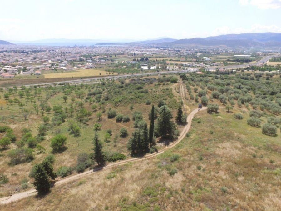 Αγροτεμάχια 11.000 τ.μ. προς πώληση, Μελισσάτικα
