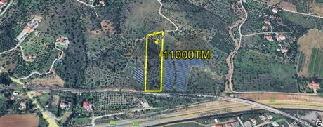 Αγροτεμάχια 11.000τ.μ. για πώληση-Νέα ιωνία βόλου » Μελισσάτικα