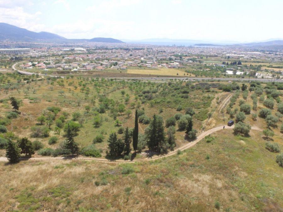 Αγροτεμάχια 11.000 τ.μ. προς πώληση, Μελισσάτικα