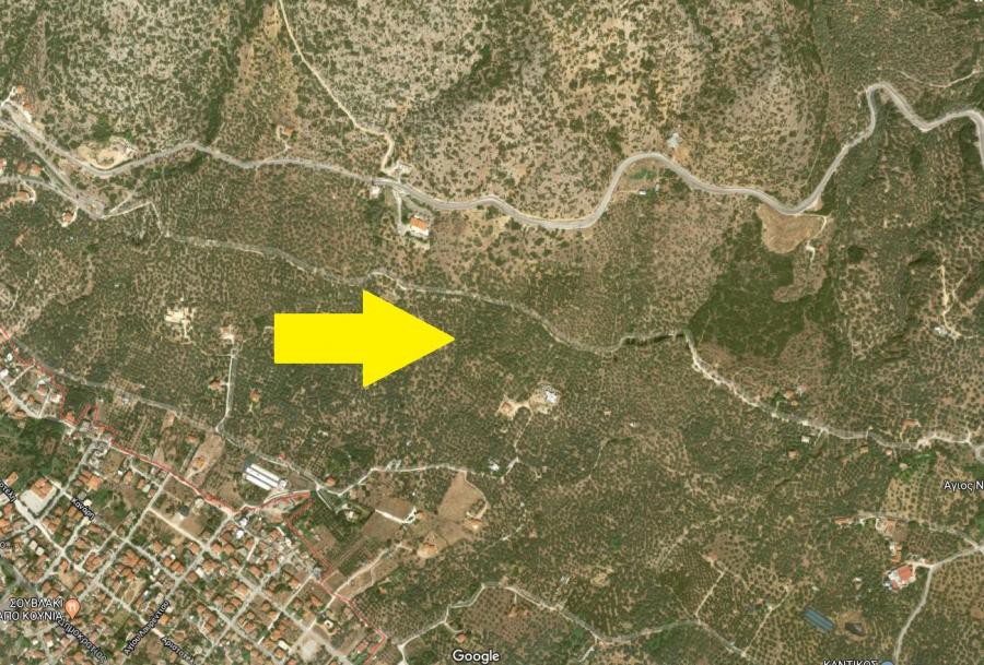 Αγροτεμάχια 4.135 τ.μ. πρός πώληση, Μαγνησία, Αρτέμιδα