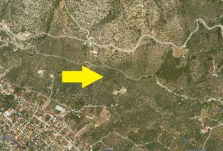 Αγροτεμάχια 4.135 τ.μ. για πώληση