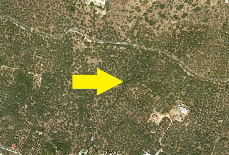 Αγροτεμάχια 4.135 τ.μ. πρός πώληση, Μαγνησία, Αρτέμιδα