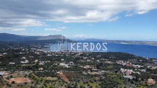 Οικόπεδο 20.419 τ.μ. για πώληση