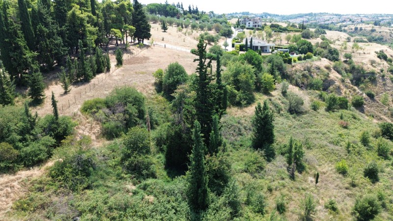 Αγροτεμάχια 2.050 τ.μ. προς πώληση, Τρίλοφο Θέρμης
