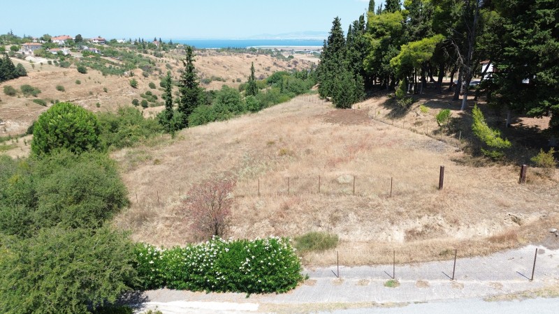 Αγροτεμάχια 2.050 τ.μ. προς πώληση, Τρίλοφο Θέρμης