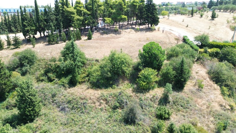 Αγροτεμάχια 2.050 τ.μ. προς πώληση, Τρίλοφο Θέρμης