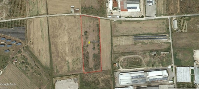 Parcel 10.228 sqm for sale, Argolis, Argos