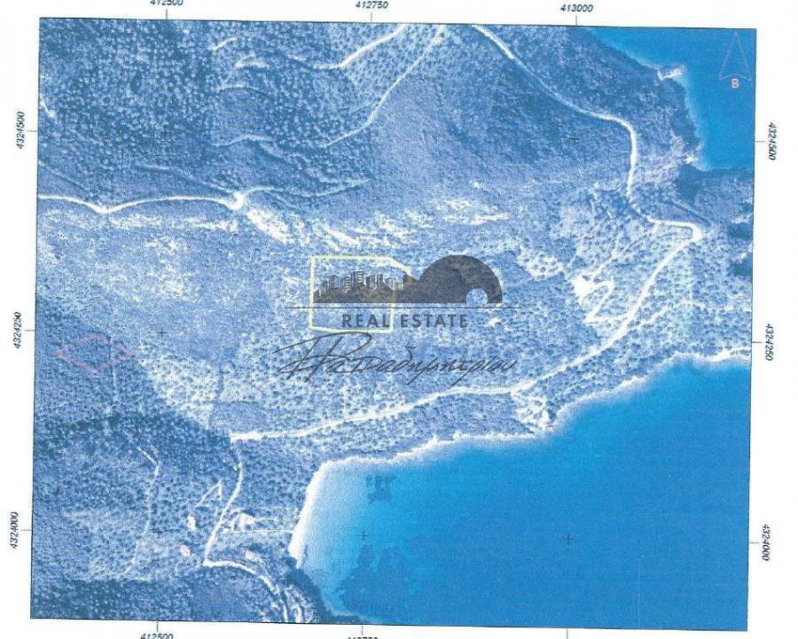 Αγροτεμάχια 9.683 τ.μ. πρός πώληση, Μαγνησία, Πτελεός