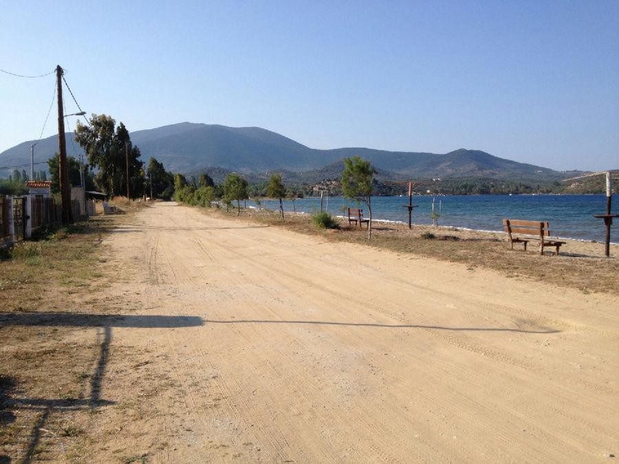 Αγροτεμάχια 1.000 τ.μ. προς πώληση, Μαγνησία, Πτελεός