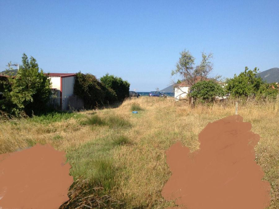 Αγροτεμάχια 1.000 τ.μ. προς πώληση, Μαγνησία, Πτελεός