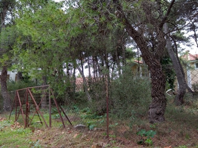 Οικόπεδο 800 τ.μ. πρός πώληση, Αθήνα - Βόρεια Προάστια, Διόνυσος