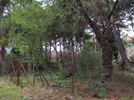 Οικόπεδο 800τ.μ. για πώληση-Διόνυσος » Κέντρο