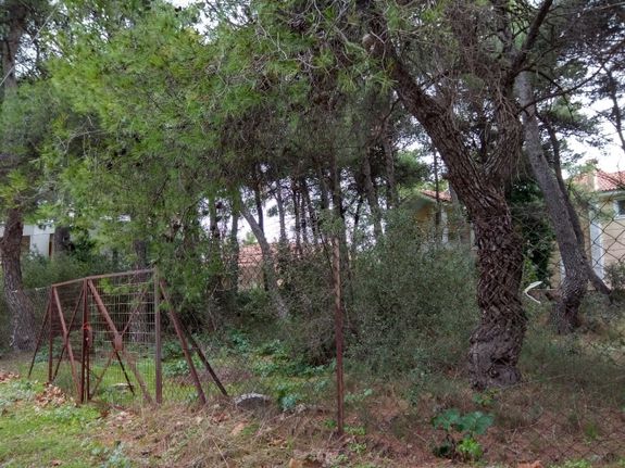 Οικόπεδο 800 τ.μ. για πώληση, Αθήνα - Βόρεια Προάστια, Διόνυσος