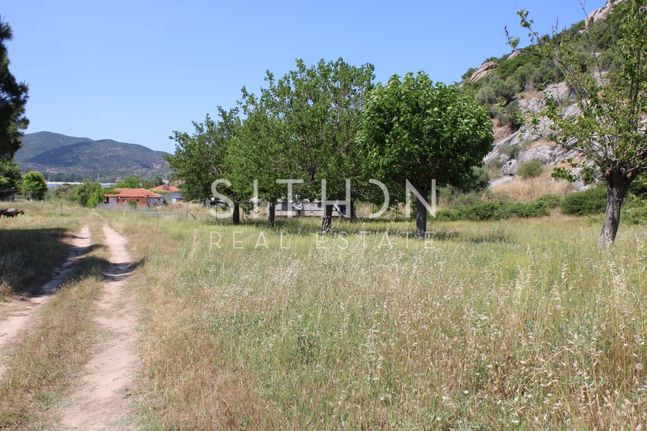 Parcel 2.697 sqm for sale, Chalkidiki, Toroni