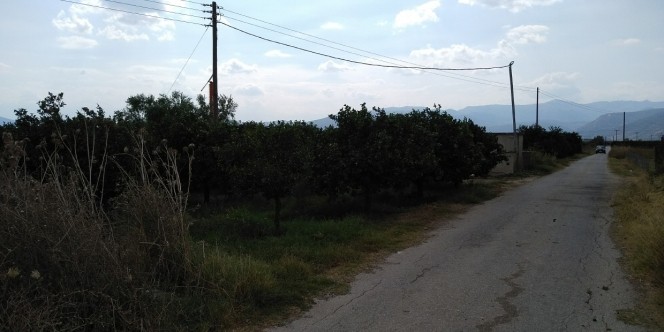 Αγροτεμάχια 15.000 τ.μ. πρός πώληση, Αργολίδα, Νέα Κίος